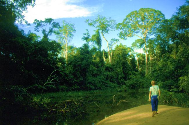 Peru am Rio Manuripe